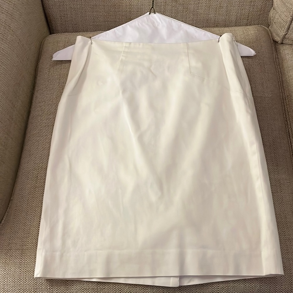 The limited skirt. Size 2